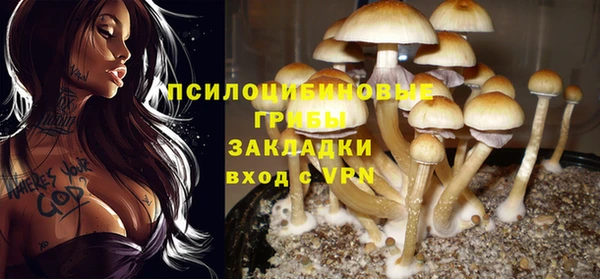 дмт Вязники
